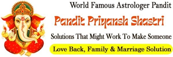  Astrologer Pandit Priyansh Shastri +91-7888463421